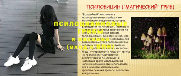 спайс Шали