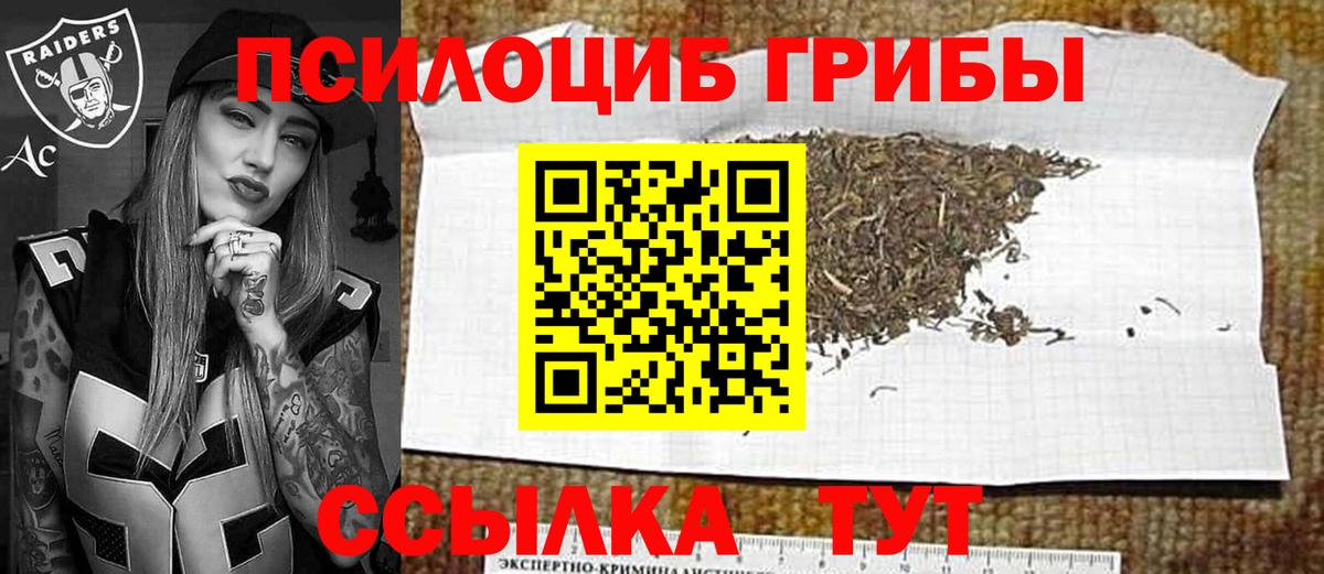 Шадринск  Псилоцибиновые грибы GOLDEN TEACHER  Вход с VPN  Псилоцибиновые грибы Magic Shrooms 