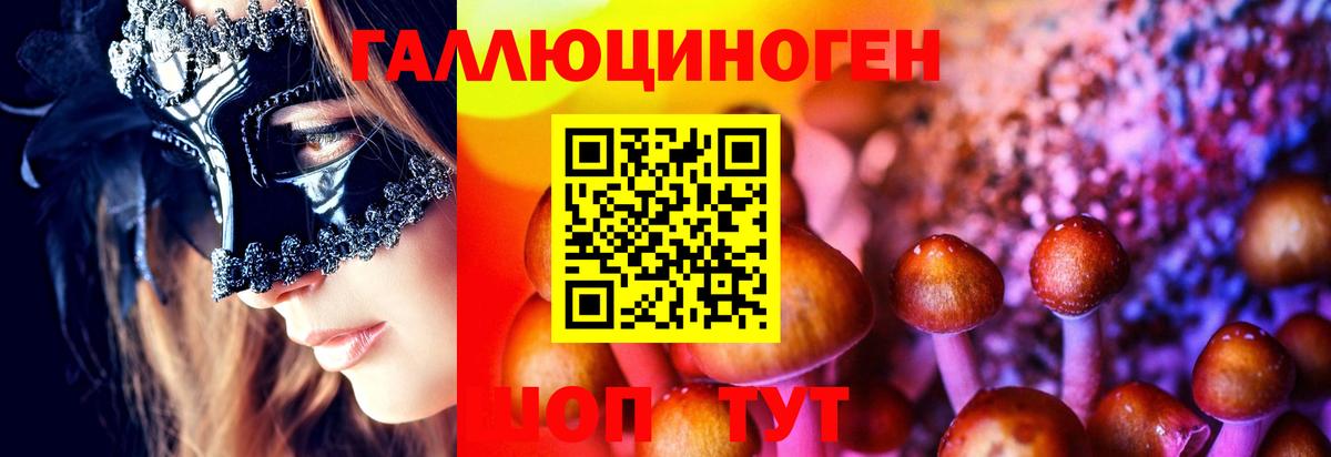 Псилоцибиновые грибы прущие грибы Шадринск